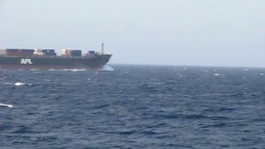 Grave Digger.  Yesterday