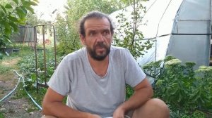 Обработка от клеща. Щавелевая кислота.  Не фальсификат ли?