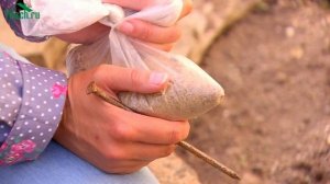 ? КЛУМБА на даче. ФОРМУЛА идеального ЦВЕТНИКА - 7 дач