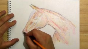 КАК НАРИСОВАТЬ КОНЯ (ЛОШАДЬ). How to draw a horse.