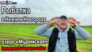 Ловля карася весной. Рыбалка на озере Муромское за Борским мостом. Рыбалка в Нижнем Новгороде 2022