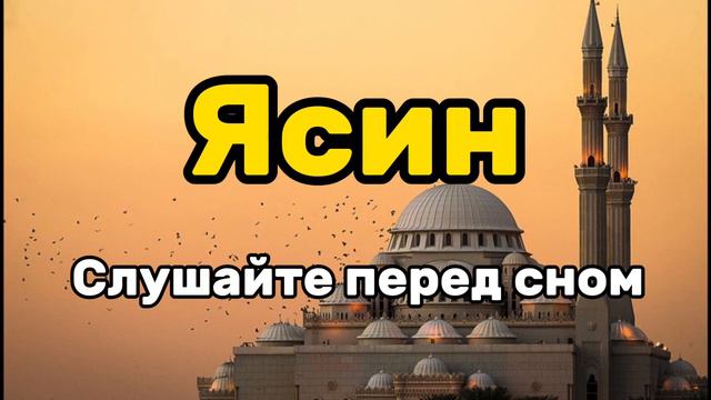 Сура Ясин для успокоения - слушайте перед сном #коран #ясин #quran смотреть онлайн