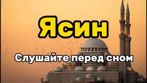 Сура Ясин для успокоения - слушайте перед сном #коран #ясин #quran