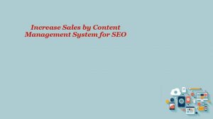 Content Management System for SEO   Amla Digital