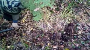 НАШЛИ ТОННЫ МЕТАЛЛОЛОМА В СУРОВОЙ ТАЙГЕ / МЕТАЛЛОИСКАТЕЛЬ В ДЕЛЕ / ВЫВОЗИМ ТРАКИ ИЗ ЛЕСА #металл