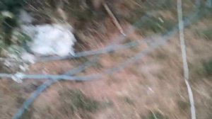 Как спасти урожай от ЗАМОРОЗКОВ в Подмосковье!