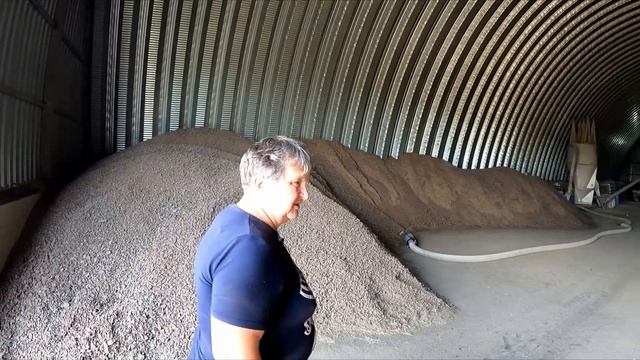 Симментал — баланс между мясом и молоком для фермера. Содержание, рацион, надои и привесы