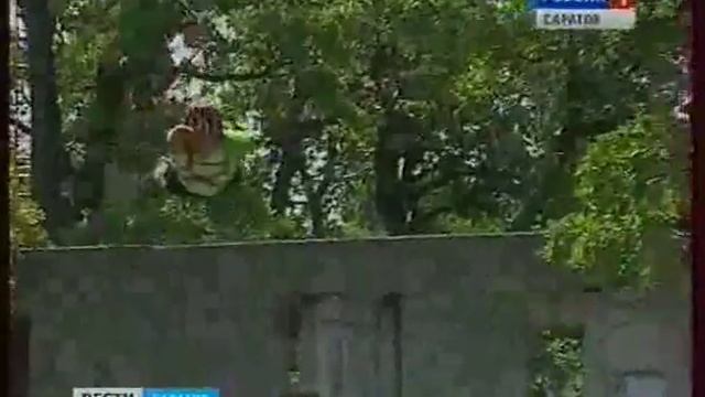 На Кумысной поляне появился троллей смотреть онлайн