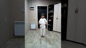 Удары на оранжевый пояс Кёкушин карате