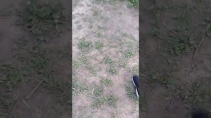 Дразним бомжей 1 часть