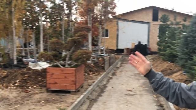 Подготовка растений к зиме
