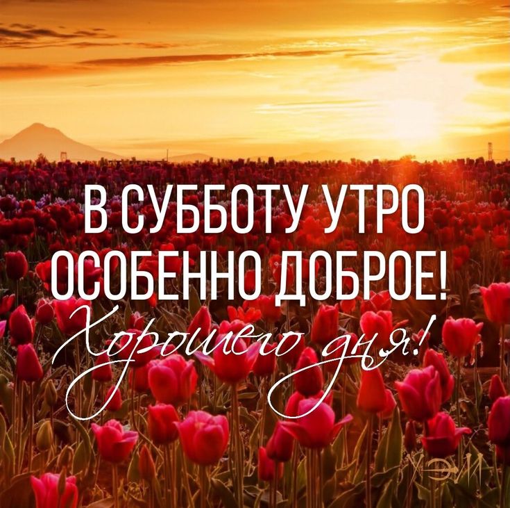 Утро Субботы! Доброго Субботнего Утра!