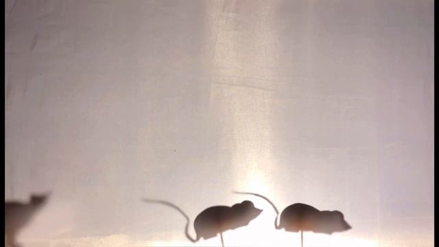 КУКОЛЬНЫЙ МИР | Коты Петербурга смотреть онлайн