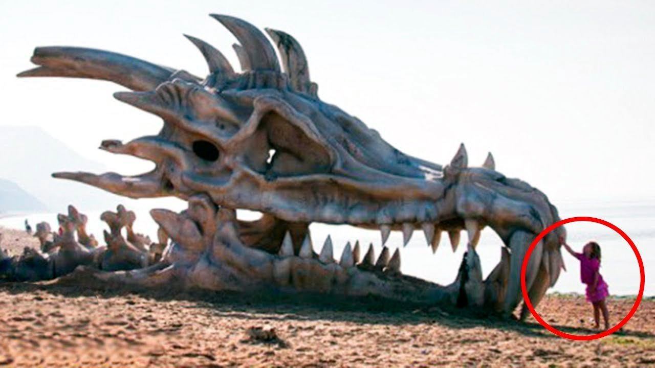 12 МИФИЧЕСКИХ СУЩЕСТВ, ПРООБРАЗАМИ КОТОРЫХ ЯВЛЯЮТСЯ РЕАЛЬНЫЕ ЖИВОТНЫЕ смотреть онлайн