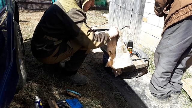 ШЕВРОЛЕ ЛАЧЕТТИ: РЕМОНТ