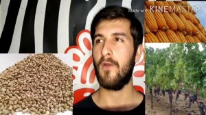 ЧОРВОДОРИ ГУСФАНД 93 000 сомони даромад БИЗНЕС дар Точикистон
