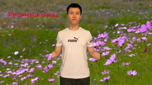 ЗВУКИ ЖИВОТНЫХ НА КИТАЙСКОМ И НА РУССКОМ