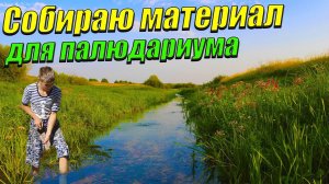 Собираю камни, коряги и растения для палюдариума с речными рыбками.