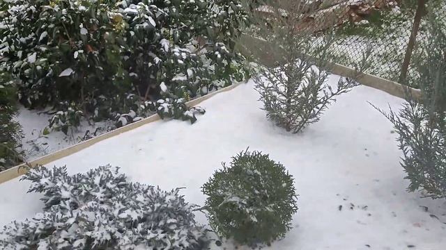 У нас замело! смотреть онлайн