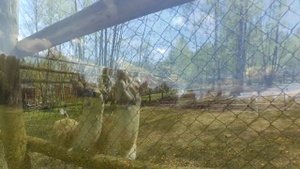 прогулка  г. Лепель .пансионат ЛОДЭ