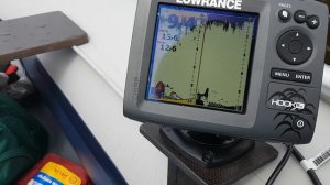 Как выглядят коряги на эхолоте Lowrance hook 5x