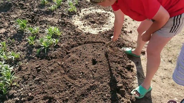 Кто делает круги на полях??? 🛸 смотреть онлайн