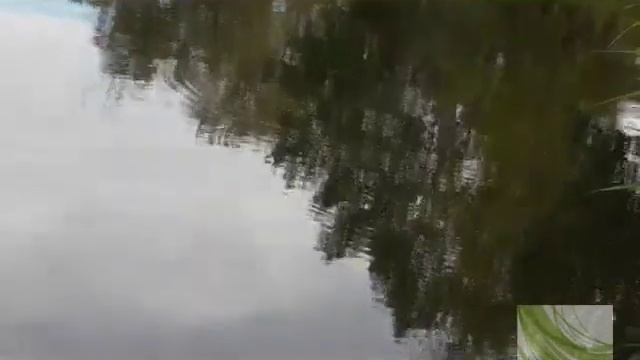 Красавица щука на кренк Сентябрьский улов смотреть онлайн