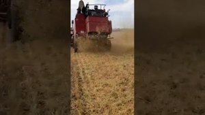 Разбрасыватель соломы Био-Тилл РС-1500 в Волгоградской области на комбайне Палессе1218