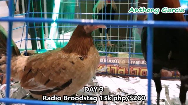 Bonbon Estrada | Anthony Garcia | Poultry Expo