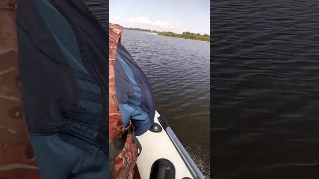 Ямаха 8 эндуро скорость 29-30км/ч с двумя кабанами смотреть онлайн