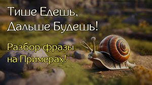 Тише едешь, дальше будешь! Как это работает?