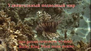 Удивительный подводный мир Крылатка воин под романтическую музыку Ricky King Убей меня нежно