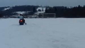 Dingo 150 искра