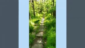 Солнечнодольск - прогулка