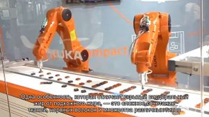 Как быстро сжечь висцеральный жир: новое открытие принесло больше вопросов, чем ответов