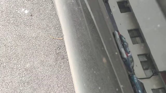 Megane 4 1.5dci EDC gearbox noise / clunking / rattling, Getrag DCT250 (Ford Powershift) issues смотреть онлайн