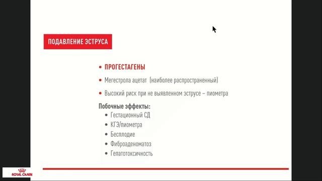 Бесплодие у кошек