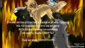 История Остролистой (Для Коты воители Острозвёздая)