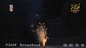 Р3006Волшебный(1)