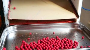 Promo. Производство бойлов Lion Baits