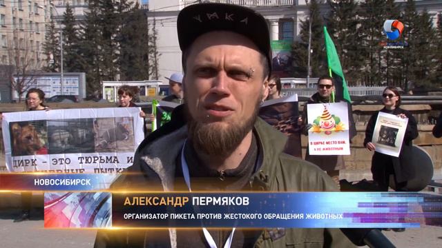 Зоозащитники требуют запретить использование животных в цирке