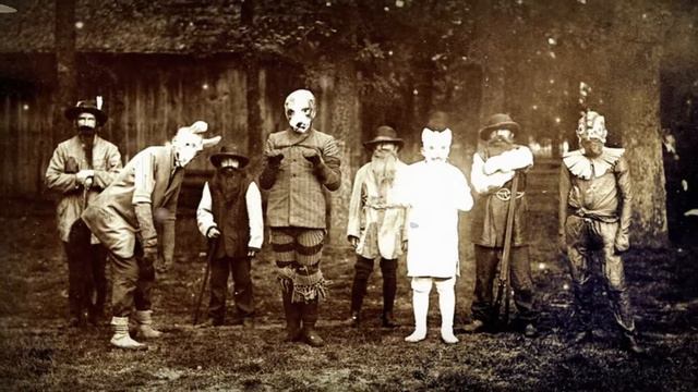 Кошка с лишней хромосомой смотреть онлайн