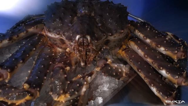 БУХТА Бутик рыбы и морепродуктов, доставка в Санкт-Петербурге и Ленинградской области. смотреть онлайн