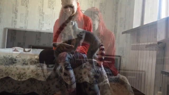 Смешное видео про лемуров. смотреть онлайн