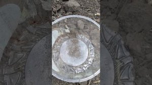 Заселение трихограммы в теплицу с огурцами.Трихограмма защита от насекомых вредителей.