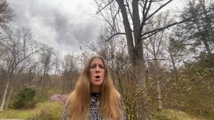 Hoist the Colours, by Hans Zimmer, Ted Elliott, and Terry Rossio