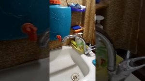 02 Как слить воду из бойлера Ferroli (Дача)