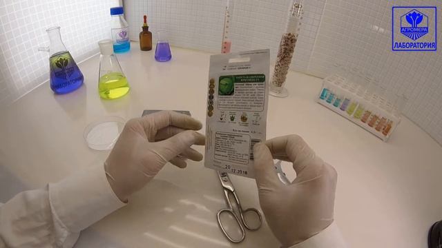 Капуста белокочанная Крюмон. Поиск смотреть онлайн