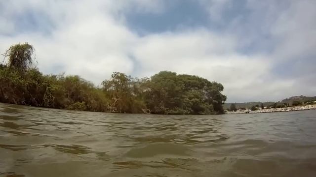 Mangrove Paddle at the Beach ! Bromelia Nature Lodge Montanita Ecuador смотреть онлайн