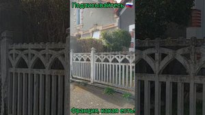 Франция сегодня.Жизнь во Франции